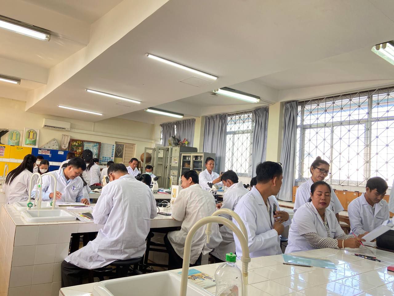Cohort Activity